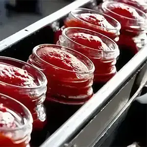 Food & Beverage Filling Machines