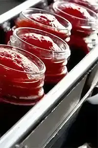 Food & Beverage Filling Machines